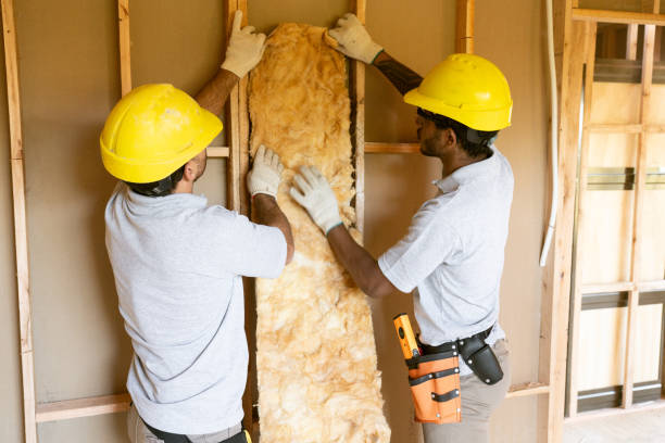 Best Home Insulation Services  in USA